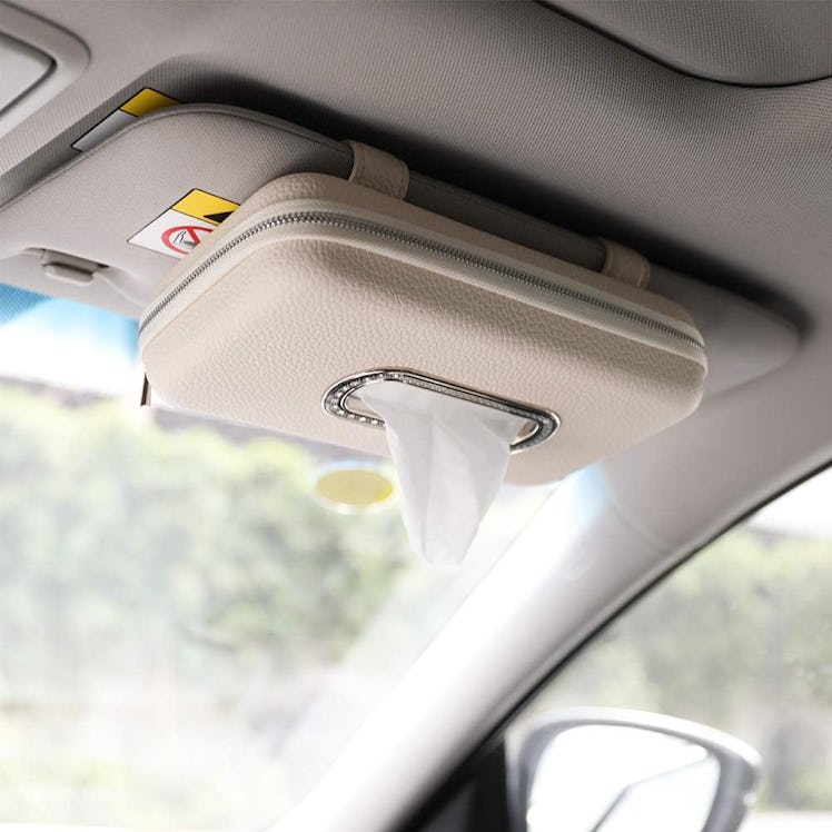 Cartisen Car Tissue Holder