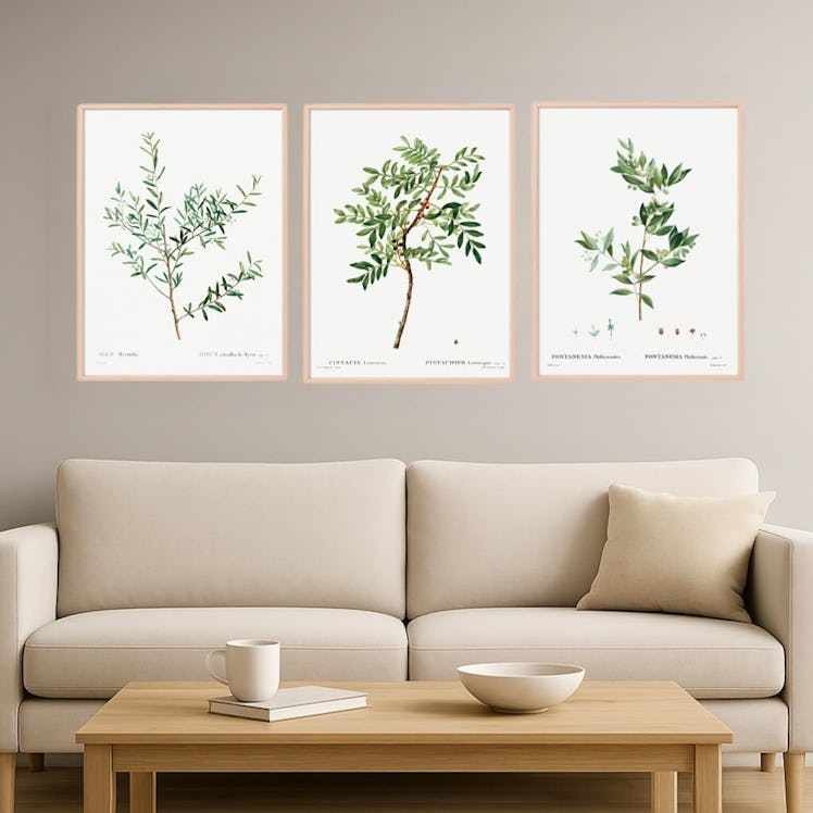 CILFFVI Framed Botanical Wall Art (Set of 3)