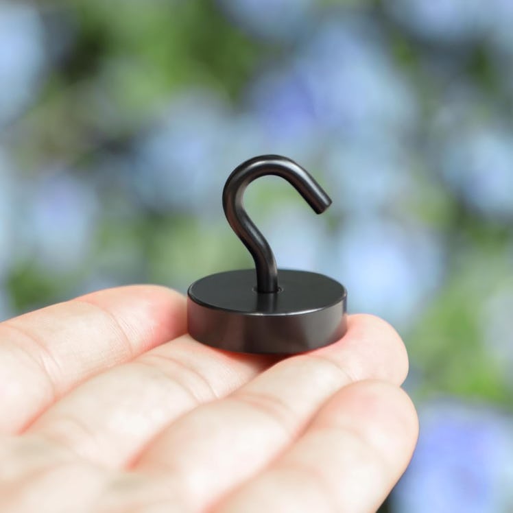 Neosmuk Magnetic Hooks (10-Pack)