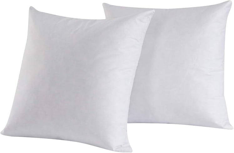 HOMESJUN Throw Pillow Inserts (2-Pack)