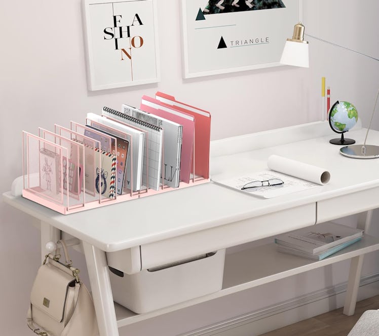 JMHUD 9-Section Desk File Organizer