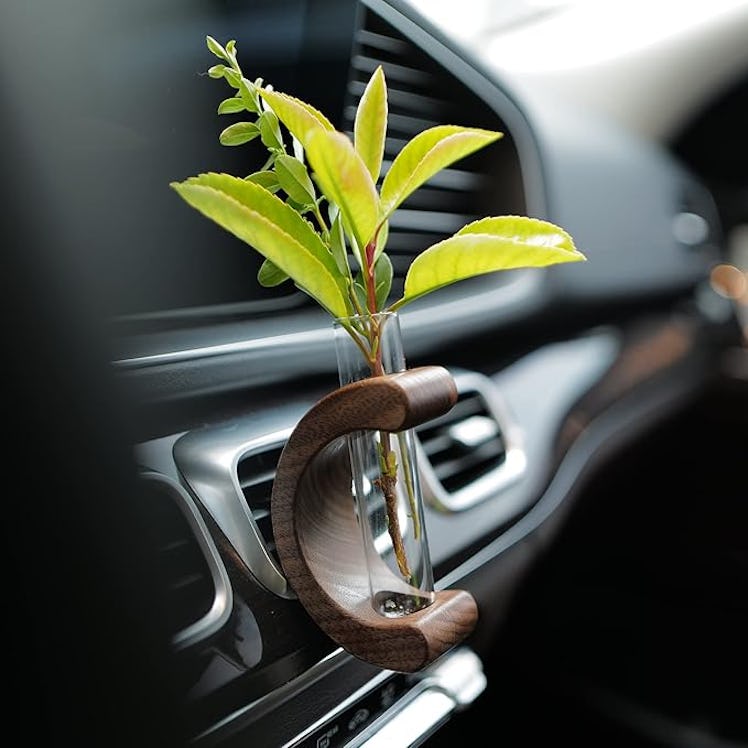 INEBIZ Car Propagation Vase Vent Clip