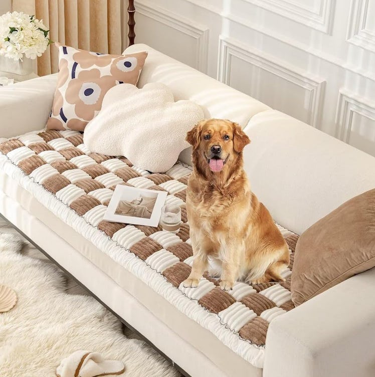 AMTARP Couch Cover Protector