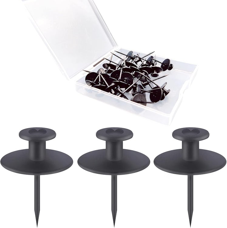 Hoaisun Picture Hanging Push Pins (30-Pack)