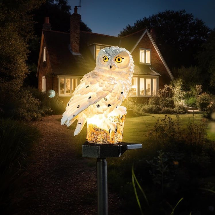 XURLEQ Garden Solar Light