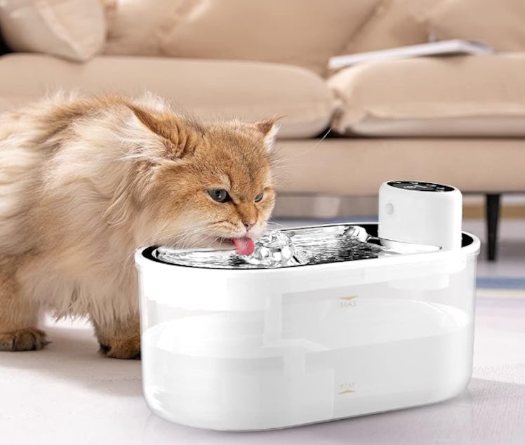 tomxcute Battery-Operated Cat Water Fountain