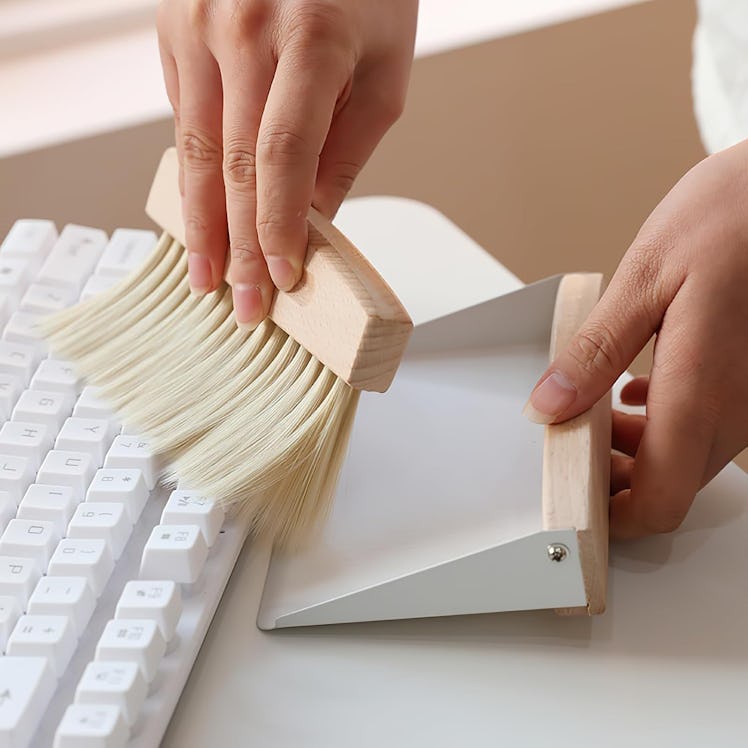 Nokiils Mini Dustpan and Brush Set