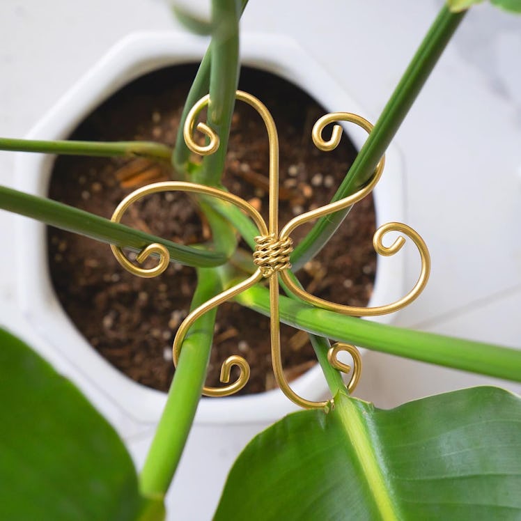 Yohsnor Monstera Plant Support System (5 Pieces) 