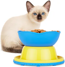 66 Surprising Amazon Finds To Brighten Your Day