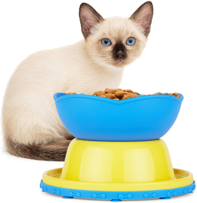 66 Surprising Amazon Finds To Brighten Your Day