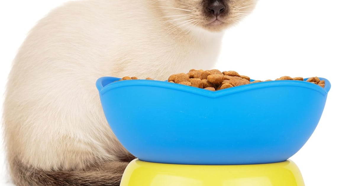 66 Surprising Amazon Finds To Brighten Your Day
