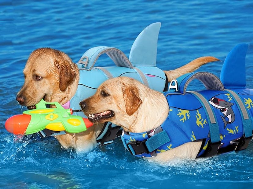 AOFITEE Shark Dog Life Jacket 