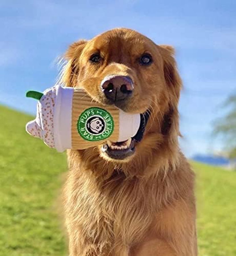 Nestpark Parody Star Pups Coffee Dog Toy
