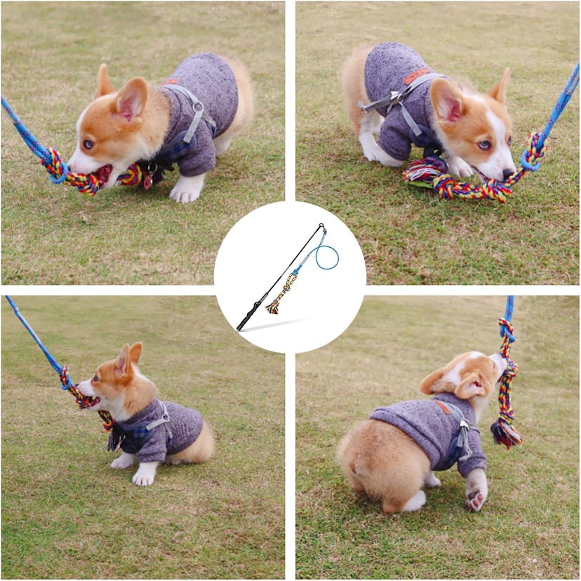 DIBBATU Interactive Teaser Wand Dog Toy