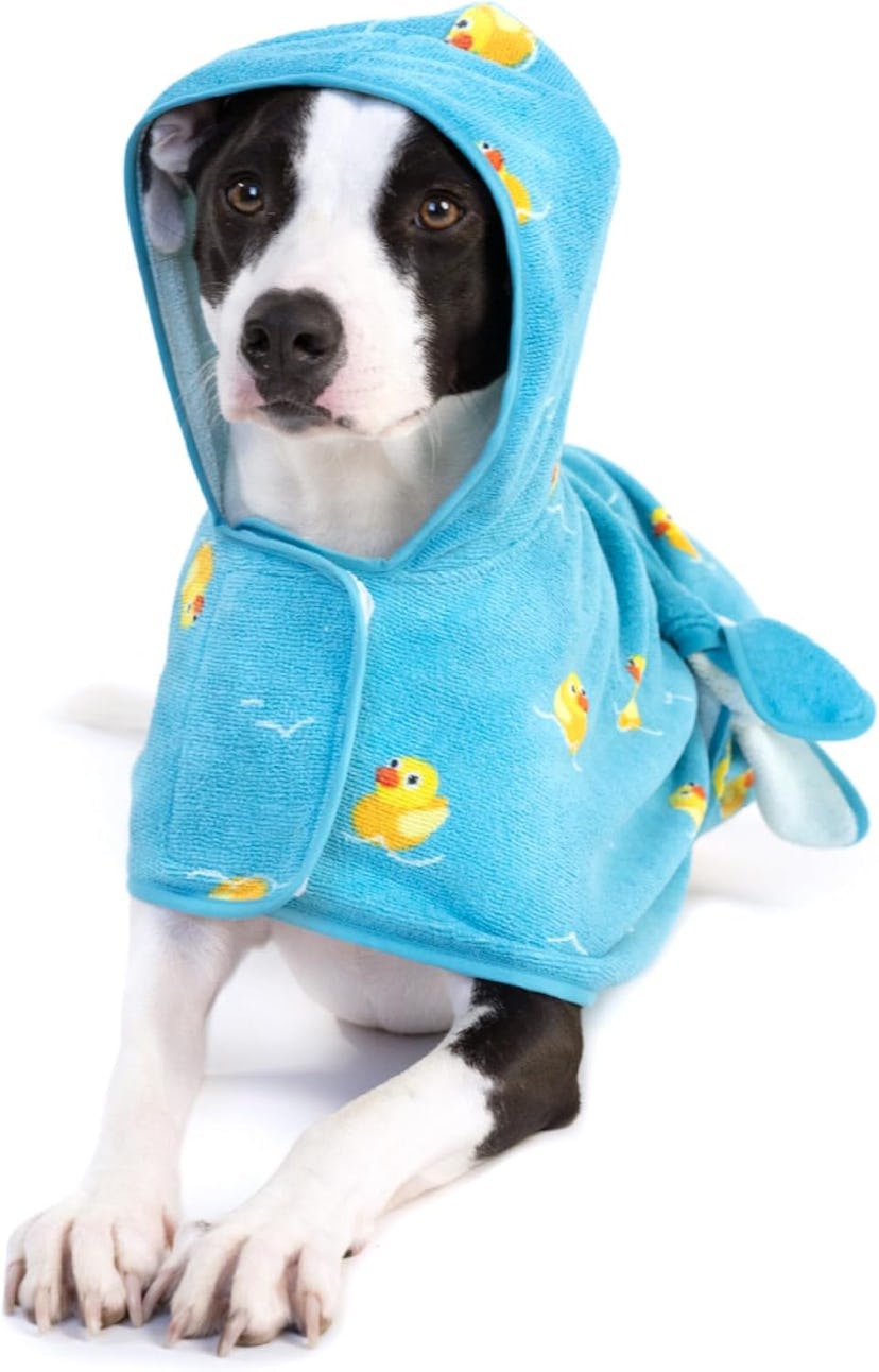 Barkbox Dog Bathrobe