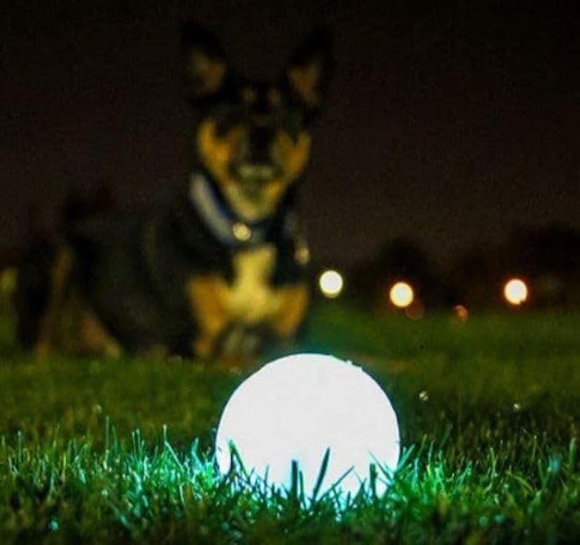  Chuckit! Glow in the Dark Bouncy Ball