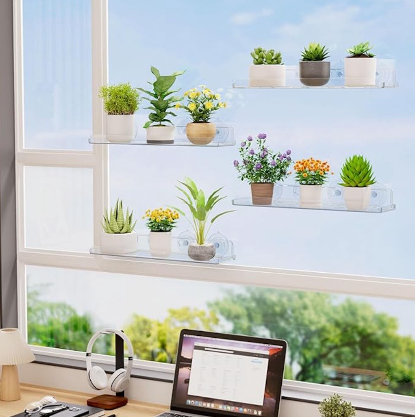 Lifewit Window Plant Floating Shelf (2-Pack)