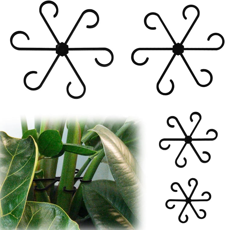 PEUTIER Climbing Houseplant Stem Supports (4-Pack)