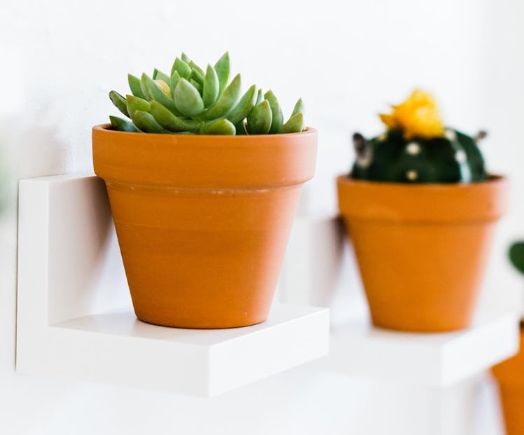 Command Display Ledges (2-Pack)