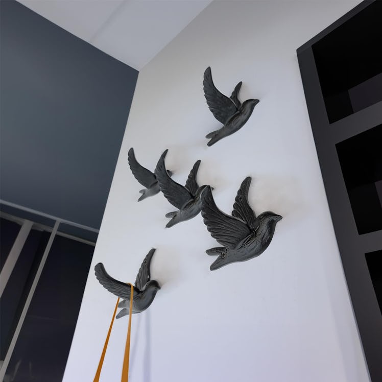 Ambipolar Bird Cast Iron Hooks (5-Pack)