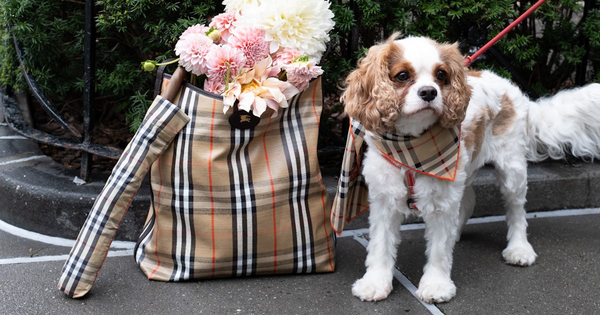 The Burberry Highlands Tote Is The Plaid Bag You Need To Invest In This Fall