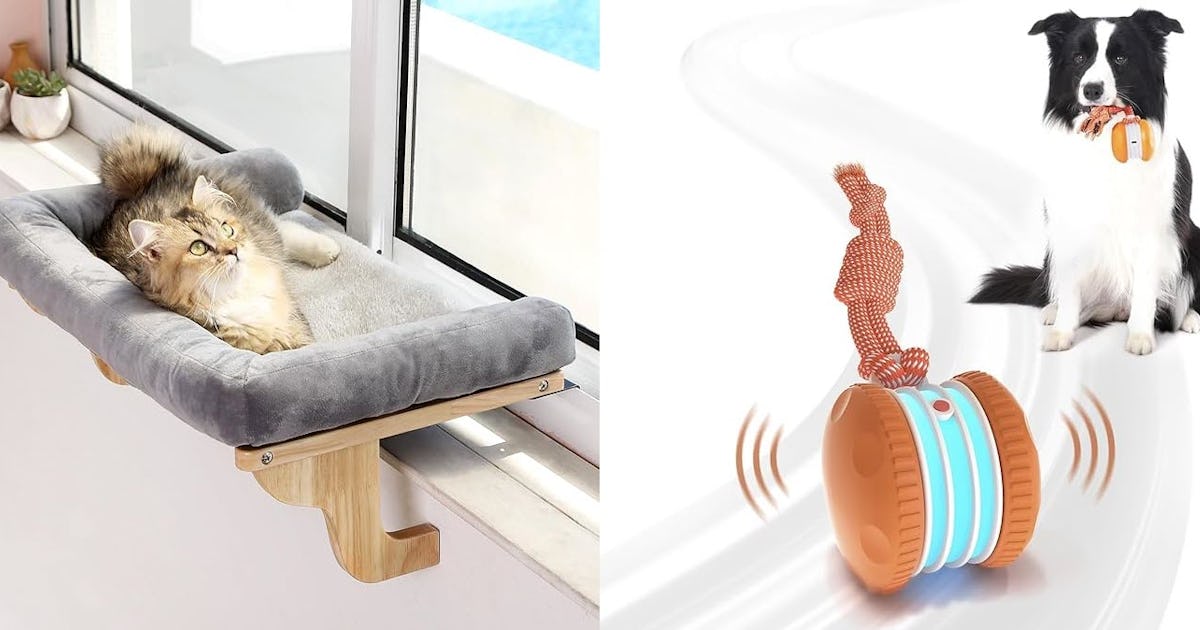 The Bougiest Pet Finds on Amazon Right Now That Are Actually Affordable