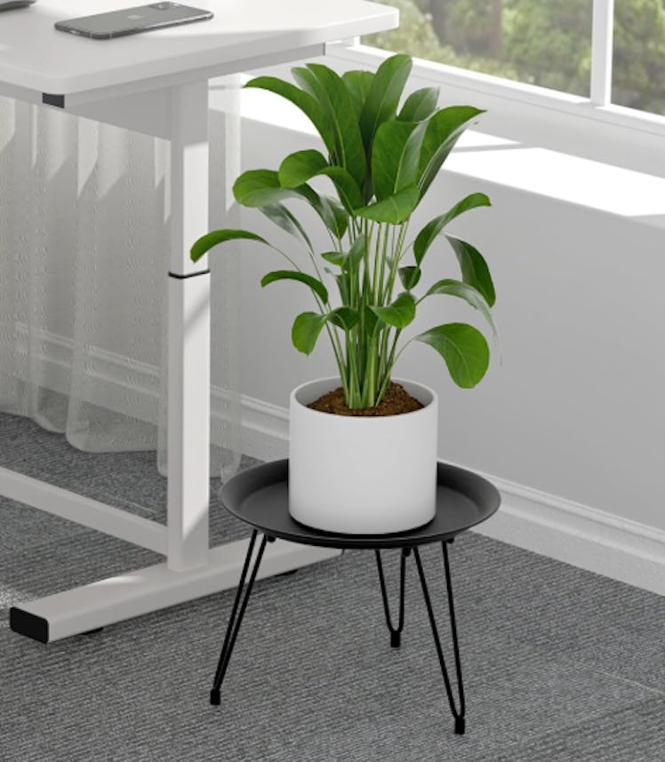 SUEH DESIGN Plant Stand