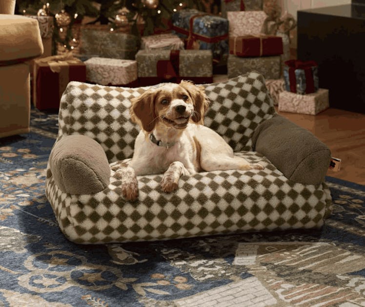 MEWOOFUN Washable Pet Bed