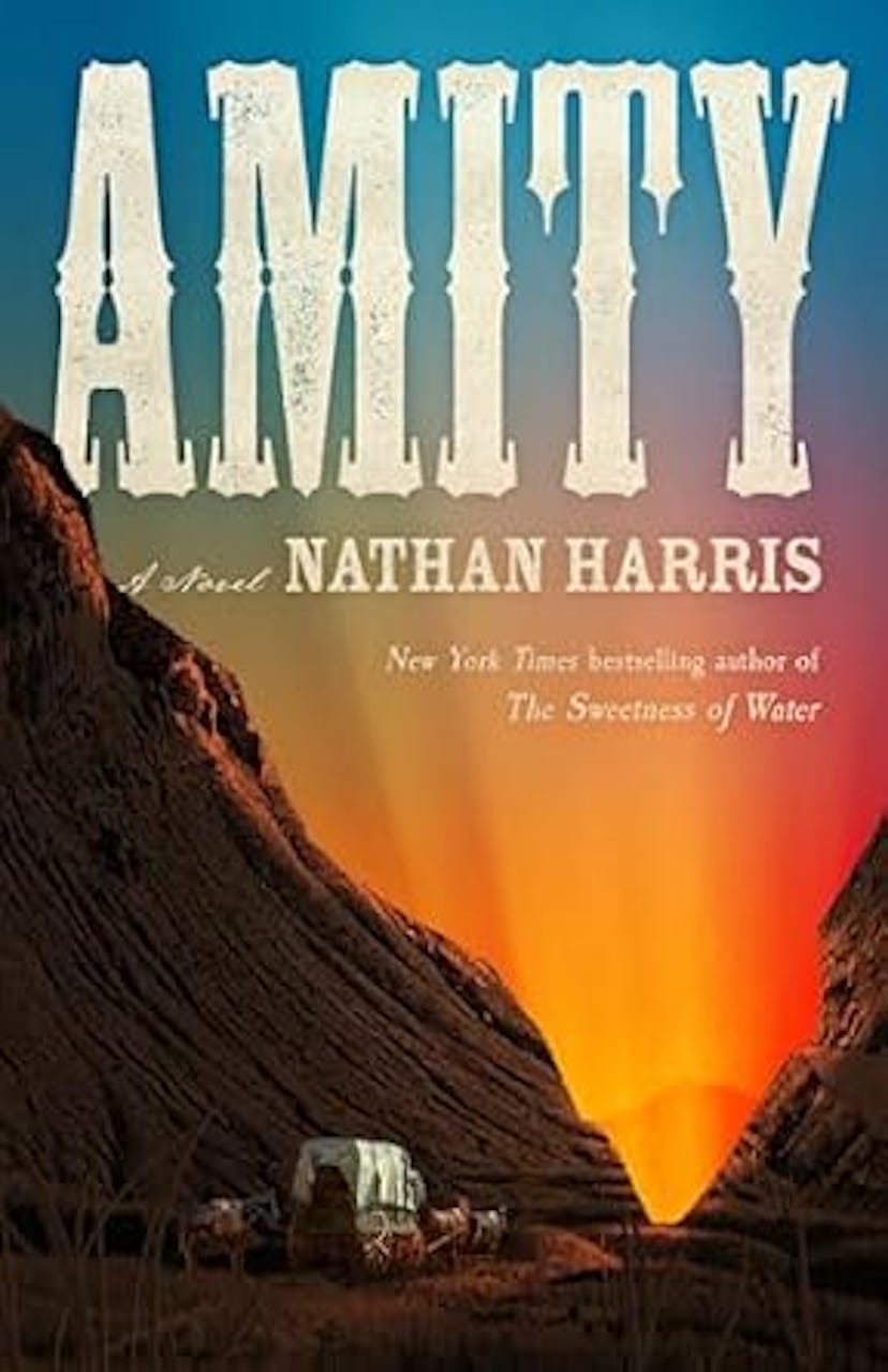 ‘Amity’ by Nathan Harris