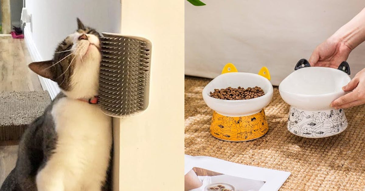 63 Weirdly Genius Pet Upgrades That Totally Change the Game for Dogs & Cats