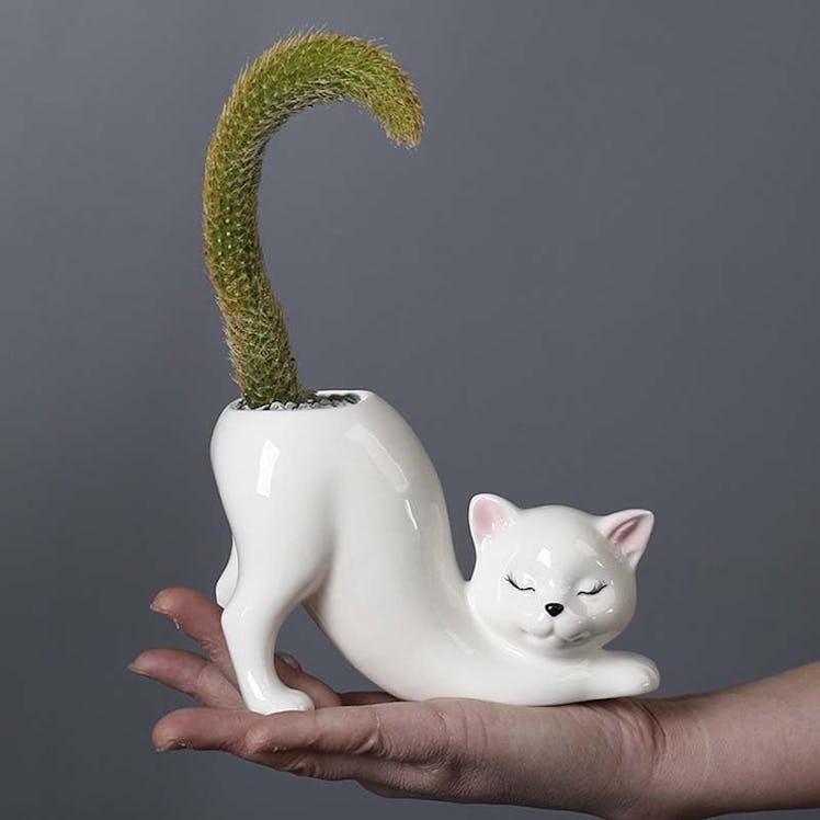 Picvelno Tailless Cat Planter