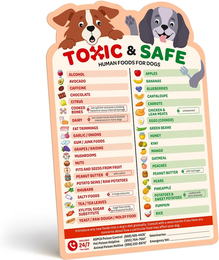 EBPP Magnetic List of Foods Dogs Can Eat 