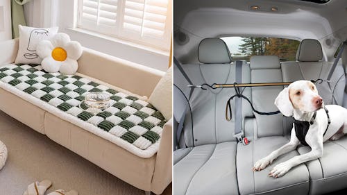 Cheap Things That Make Having A Dog So Much Easier, You'll Wish You Got Them Ages Ago