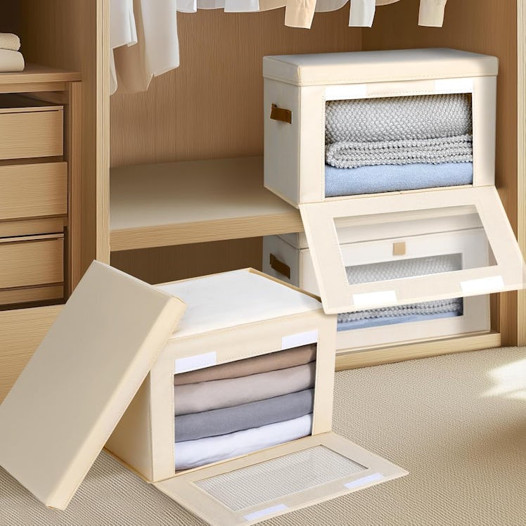 Homsorout Large Closet Storage Organizers (Set of 2) 