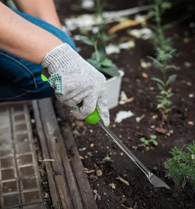 Garden Guru Weeder Tool