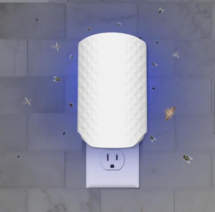 WowCatch Plug-In Bug Trapper