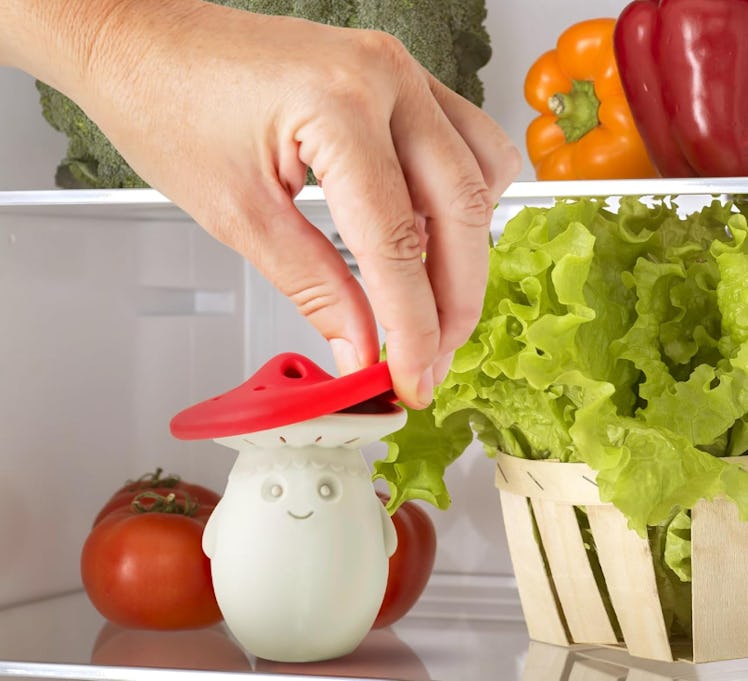 OTOTO Fridge Deodorizer