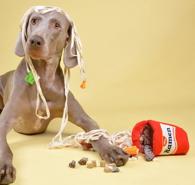 CHEWFFON Interactive Ramen Dog Puzzle Toy