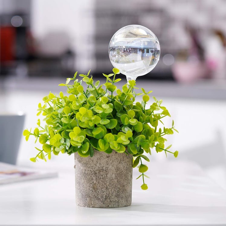 Tomorotec Iridescent Watering Globes (2-Pack)
