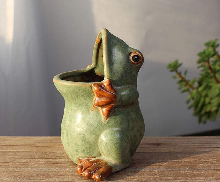 MONMOB Ceramic Frog Shaped Plant Pot