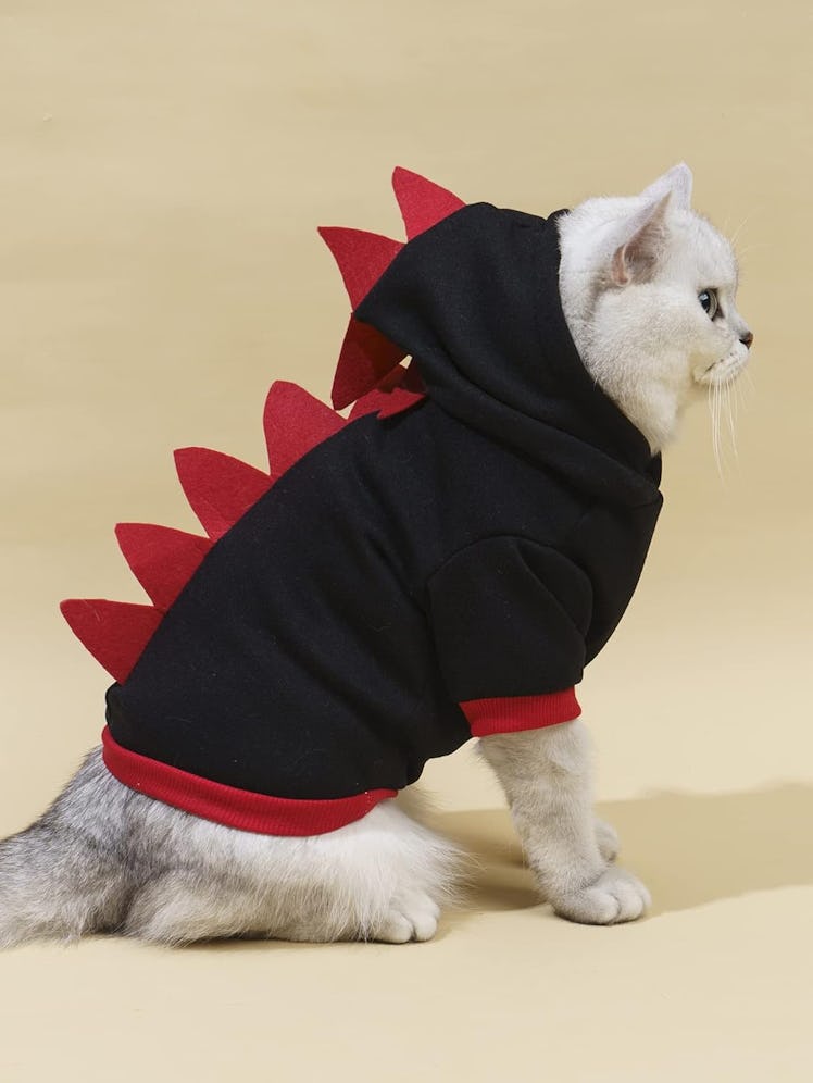 QWINEE Dinosaur Hoodie 
