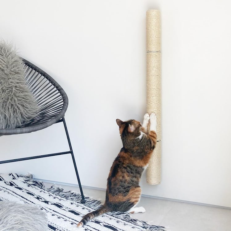 Xympo Wall Mounted Cat Scratcher Post