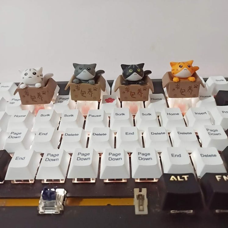 Mirai Past Boxed Kitty Keycap