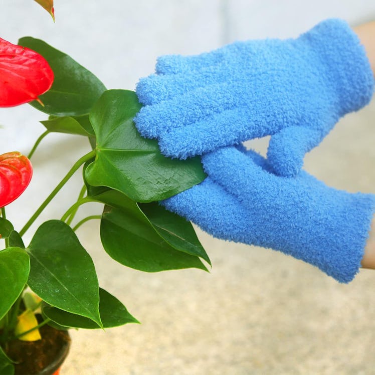 Evridwear Microfiber Plant Dusting Gloves 