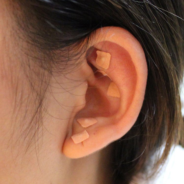 Dragon Acupuncture Ear Seeds (600-Pack)