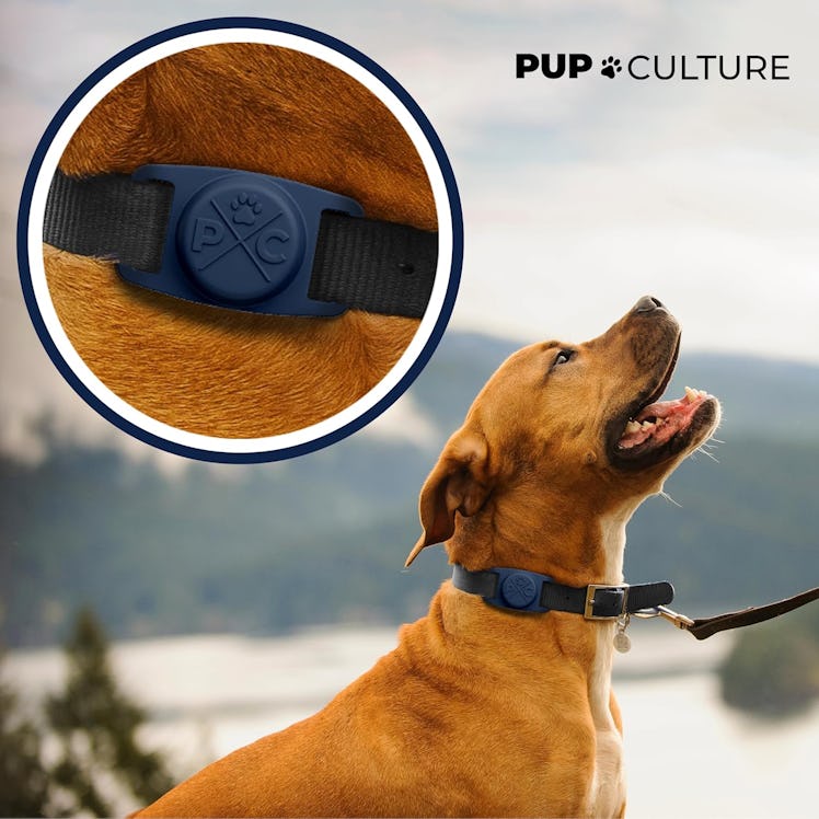 Pup Culture AirTag Dog Collar Holder (2-Pack) 
