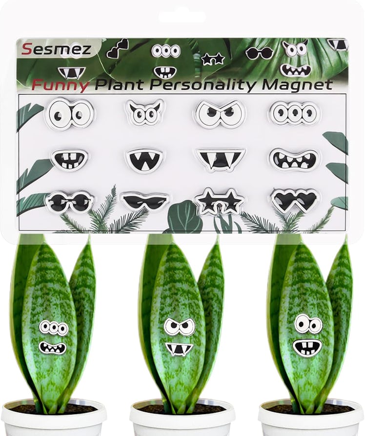 Sesmez Plant Magnets (12 Pieces)