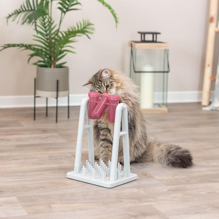 TRIXIE Cat Activity Turn Around Strategy Game