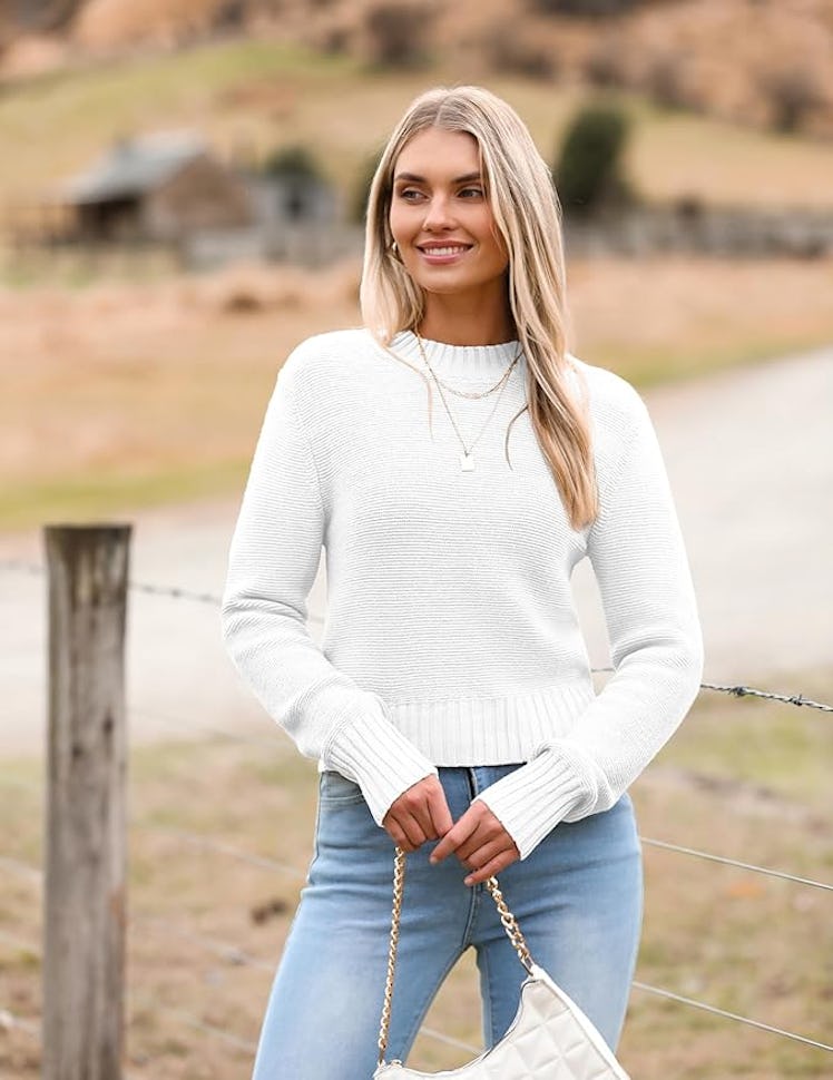 Zeagoo Cropped Sweater