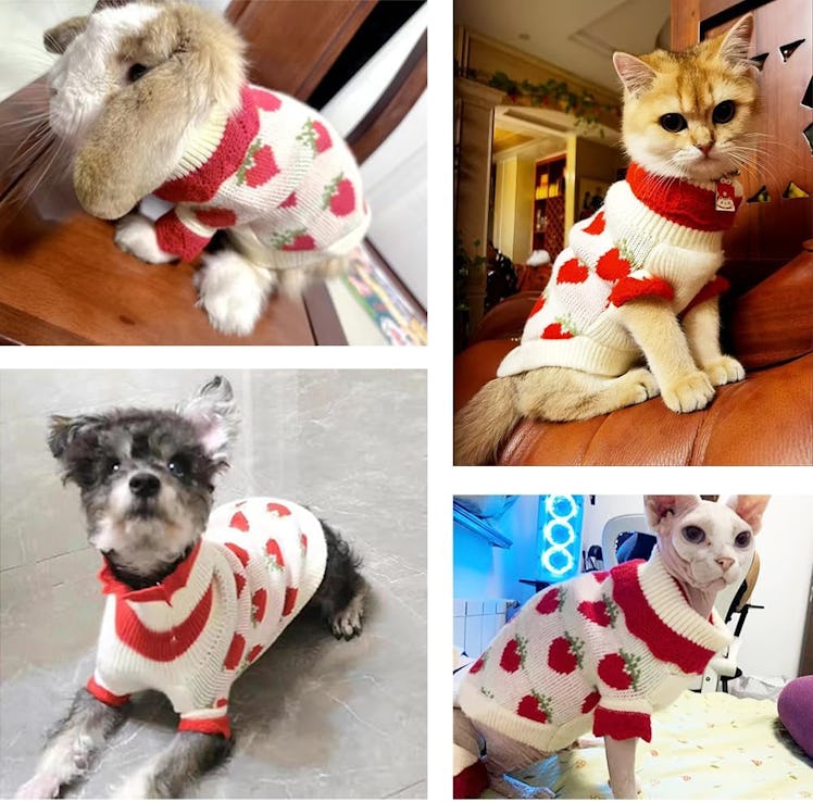 ANIAC Strawberry Turtleneck Cat Sweater 